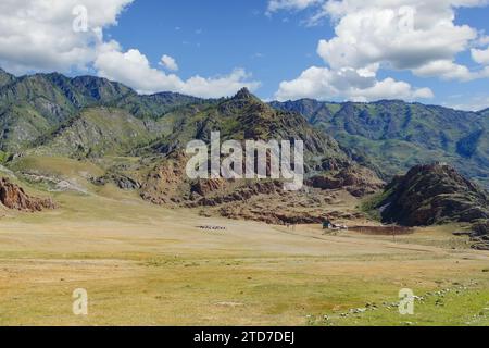 Landschaft mit einem kleinen Dorf und Weidevieh in der Nähe hoher Berge bei gutem Wetter. Republik Altai. Russland. Stockfoto