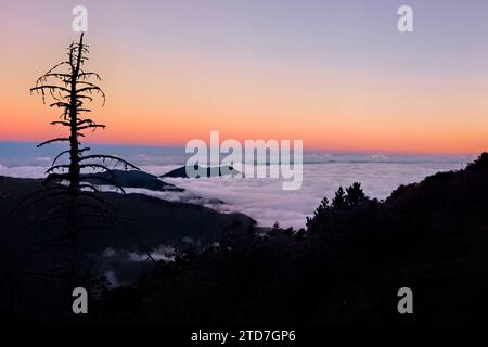 Wolkenmeer auf dem Weg zum Jiaming See, Taitung, Taiwan Stockfoto