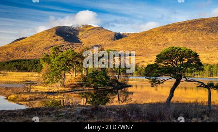 Reflexionen in Loch Tulla, Schottland Stockfoto