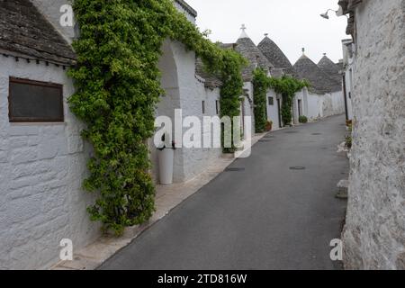 Die Trulli von Alberobello. Die Trulli sind weltweit für ihre charakteristische Schönheit und Einzigartigkeit berühmt Stockfoto