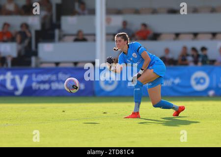 Perry Park, Queensland, Australien, 17. Dezember 2023: Jordan Silkowitz (29 Brisbane) im Spiel der Liberty A League zwischen Brisbane Roar FC und Western Sydney Wanderers FC im Perry Park, Brisbane, Australien. (Matthew Starling / SPP) Stockfoto