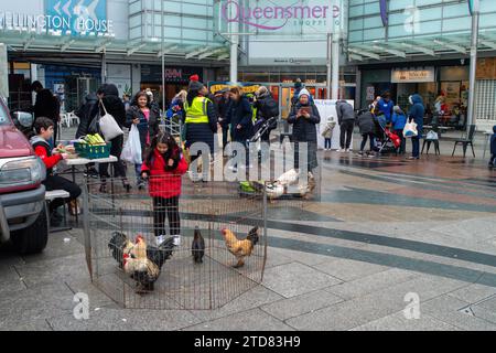 Slough, Berkshire, Großbritannien. Dezember 2023. Eine örtliche baptistenkirche, die sich an die örtliche Gemeinde wendet, bringt einen Streichelzoo nach Slough. Die Stadt wurde kürzlich zum hässlichsten und ungesündesten Wohnort Großbritanniens ernannt. Quelle: Maureen McLean/Alamy Live News Stockfoto