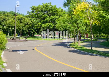 Seoul, Südkorea - 3. Juni 2023: Ein gewundener Radweg führt durch üppiges Grün im Nanji Hangang Park, wo Radfahrer und Wanderer die Ruhe genießen Stockfoto