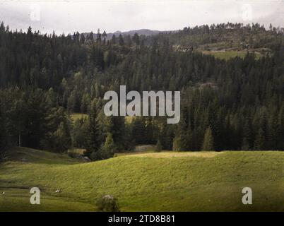 Von Kongsberg bis Notodden, Norwegen Landschaft, Natur, Umwelt, HD, Landschaft, Berg, Berg, Konifer, Wald, Holz, in hoher Auflösung, Vegetation, Botanik, von Kongsberg bis Notodden, Kongsberg, Notodden, 02/09/1910 - 02/09/1910, Léon, Auguste, Fotograf, 1910 - Albert Kahn und Auguste Léon Reise nach Skandinavien (9. August-14. September), Autochrome, Foto, Glas, Autochrome, Foto, positiv, Horizontal, Format 9 x 12 cm Stockfoto