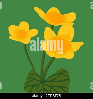 Vektorillustration einer Caltha palustris auf grünem Hintergrund. Stock Vektor