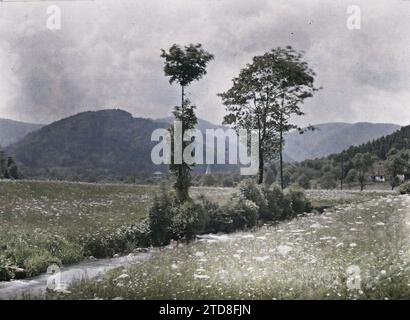 Sewen, Haut-Rhin, Frankreich Haute Vallée de la Doller, Glockenturm von Sewen, Natur, Umwelt, erster Weltkrieg, Landschaft, Berg, Berg, Tal, Glockenturm, Rückseite, Frankreich, Sewen, Haute Vallée de la Doller, Glockenturm von Sewen, Sewen, 02/06/1917 - 02/06/1917, Castelnau, Paul, 1917 - Elsass - Paul Castelnau (fotografischer Teil der Armee) - (Juni), Autochrome, Foto, Glas, Autochrome, Foto, positiv, Horizontal, Format 9 x 12 cm Stockfoto