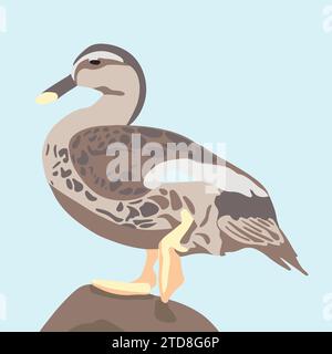 Vektor-Illustration einer weiblichen Wildente. Stock Vektor