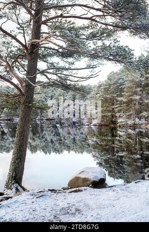 Loch Garten im Schnee. Highlands, Schottland Stockfoto