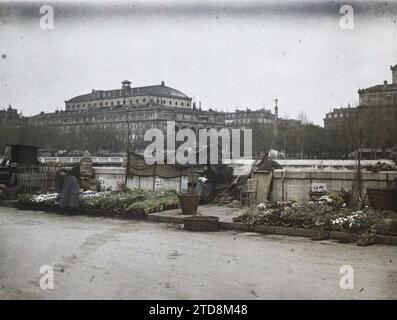 Paris (IV. Arr.), Frankreich der Blumenmarkt am Place Louis-Lépine an der Île de la Cité, Quai de la Corse, Wirtschaft, Alltag, Kunst, Markt, fair, Straßenhandel, Quay, Wohngegenstand, Blume, Showcase, Ausstellung, Theater, Frankreich, Paris, der Blumenmarkt, Île de la Cité, 02.05/1918 - 02.05.1918, Léon, Auguste, Fotograf, Autochrome, Foto, Glas, Autochrome, Foto, positiv, Horizontal, Größe 9 x 12 cm Stockfoto