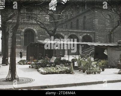 Paris (4. Arr.), Frankreich Blumenmarkt auf der Île de la Cité, Place Louis-Lépine. Hinter dem Hôtel-Dieu in der Rue de la Cité 3, Wirtschaftstätigkeit, Wohnungsbau, Architektur, Gesundheit, Markt, Messe, Straßenhandel, öffentliche zivile Architektur, Krankenhaus, Pflegezentrum, Blume, Showcase, Display, Frankreich, Paris, der Blumenmarkt in der Stadt, Île de la Cité, 02/05/1918 - 02/05/1918, Léon, Auguste, Fotograf, Autochrome, Foto, Glas, Autochrome, Foto, positiv, Horizontal, Größe 9 x 12 cm Stockfoto