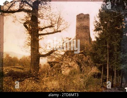 Region Thonon, Frankreich, Habitat, Architektur, Kunst, Natur, Umwelt, archäologische Überreste, Konifer, Turm, befestigte Architektur, Festung, Mittelalter, Vegetation, Botanik, Region Thonon, Chateau de la Rochette, Thonon-les-Bains, 01/06/1917 - 31/05/1918, geschäftig, Léon, 1917-1918 - Rhône-Alpes - Léon beschäftigt Fotograf - (Juin 1917-mai), Autochrome, Foto, Glas, Autochrome, Foto, positiv Stockfoto