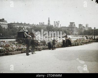 Paris (IV. Arr.), Frankreich der Blumenmarkt am Place Louis-Lépine an der Île de la Cité, Quai de la Corse, Wirtschaftstätigkeit, tägliches Leben, Markt, Messe, Rathaus, Rathaus, Straßenhandel, Quay, Wohngegenstand, Blume, Schaufenster, Ausstellung, Frankreich, Paris, Blumenmarkt, Île de la Cité, 10.08/1918 - 10.08.1918, Léon, Auguste, Fotograf, Autochrome, Foto, Glas, Autochrome, Foto, positiv, Horizontal, Größe 9 x 12 cm Stockfoto