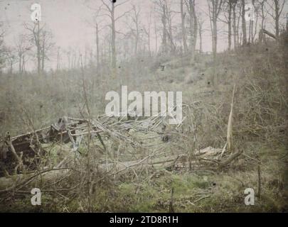 Vignemont, Frankreich, erster Weltkrieg, Wald, Holz, Ruinen, Front, Nachkriegszeit, Frankreich, Vignemont, Krieg: View S/The Village of Vignemont, Vignemont, 26/03/1919 - 26/03/1919, Passet, Stéphane, Fotograf, 1919 - verwüstete Regionen Oise - Stéphane Passet - (März), Autochrome, Foto, Glas, Autochrome, Foto, positiv Stockfoto
