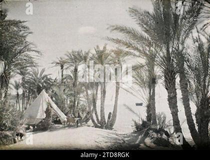 Aqaba, Arabien (das heutige Jordanien) Lager der arabischen Streitkräfte des Königreichs Hedschas in einem Palmenhain am Rande des Golfs, Habitat, Architektur, Natur, Umwelt, Menschen, Meer, Ozean, Zelt, Palme, Palmenhain, Wohnhaus, Hydrographie, Vegetation, Botanik, man, Arabien, Akaba, Palm Grove Sherifian Camp, Aqaba, 24.03/1918 - 24.03.1918, Castelnau, Paul, 1918 - Nahost, Ägypten, Palästina, Chypre - Paul Castelnau (fotografischer Teil der Armee) - (9. Januar-6. Oktober), Autochrome, Foto, Glas, Autochrome, Foto, positiv, Horizontal, Format 9 x 12 cm Stockfoto