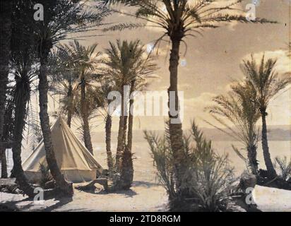 Aqaba, Arabien (das heutige Jordanien) Ein Zelt des Lagers der arabischen Streitkräfte des Königreichs Hedjaz in einem Palmenhain am Rande des Golfs von Aqaba, Habitat, Architektur, Natur, Umwelt, Meer, Meer, Zelt, Palmenhain, Wohnraum, Hydrographie, Vegetation, Botanik, Arabien, Akaba, Palm Grove Sherifian Camp, Aqaba, 24.03/1918 - 24.03.1918, Castelnau, Paul, 1918 - Nahost, Ägypten, Palästina, Chypre - Paul Castelnau (fotografischer Teil der Armee) - (9. Januar-6. Oktober), Autochrome, Foto, Glas, Autochrome, Foto, positiv, Horizontal, Format 9 x 12 cm Stockfoto