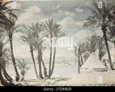 Aqaba, Arabien (das heutige Jordanien) Ein Zelt des Lagers der arabischen Streitkräfte des Königreichs Hedjaz in einem Palmenhain am Rande des Golfs von Aqaba, Habitat, Architektur, Natur, Umwelt, Meer, Meer, Zelt, Palmenhain, Wohnraum, Hydrographie, Vegetation, Botanik, Arabien, Akaba, Pameraie, am Ende des Golfs, Aqaba, 24.03/1918 - 24.03.1918, Castelnau, Paul, 1918 - Nahost, Ägypten, Palästina, Chypre - Paul Castelnau (fotografischer Teil der Armee) - (9. Januar-6. Oktober), Autochrome, Foto, Glas, Autochrome, Foto, positiv, Horizontal, Format 9 x 12 cm Stockfoto