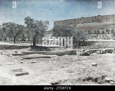 Östlich von Jerusalem, Israel, Palästina-Garten Getsemani, am Fuße des Ölbergs, Ort der Qualen und Verhaftung Jesu, Habitat, Architektur, Früchte, befestigte Architektur, Park, Garten, Olivenbaum, Rampart, Palästina, Jerusalem, Israel, Ort der Qual und der Verhaftung (Garten der Olivenbäume von Getsemani), Mont des Oliviers, 26.07/1918 - 26.07.1918, Castelnau, Paul, 1918 - Nahost, Ägypten, Palästina, Chypre - Paul Castelnau (fotografischer Teil der Armee) - (9. Januar-6. Oktober), Autochrome, Foto, Glas, Autochrome, Foto, positiv, Horizontal, Format 9 x 12 cm Stockfoto