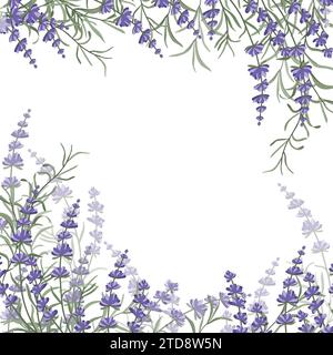 Florale lila-lavendelfarbene Borte aus Lavendelblüten und -Blättern, für die Gestaltung von Postkarten, Einladungen Stock Vektor