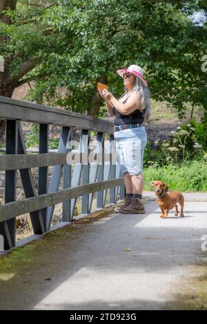 Reife Frau, die mit braunem Dackel auf der Brücke steht und Fotos mit Handy macht, grüner Baum in verschwommenem Hintergrund, Hut und Sonnenbrille, sonniger Tag rein Stockfoto