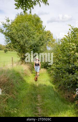 Erwachsene Wanderer in Sommerkleidung spazieren mit Hund auf dem Weg zwischen landwirtschaftlichen Grundstücken, Pflanzen und Laubbäumen im Hintergrund, Shorts, Sonnenbrillen Stockfoto