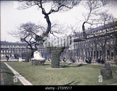 Paris (1. Arr.), Frankreich der Garten des Palais-Royal, Kunst, Habitat, Architektur, Statue, Skulptur, bemerkenswerter Baum, überdachte Passage, Bogen, Arkade, Arch, Park, Garten, Palast, Schloss, Frankreich, Paris, Königspalast, Arrondissement I, 19/03/1920 - 19/03/1920, Léon, Auguste, Fotograf, Autochrome, Foto, Glas, Autochrome, Foto, positiv, horizontal, Größe 9 x 12 cm Stockfoto