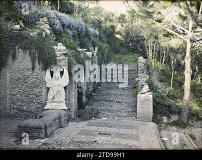 Rom, Italien, Habitat, Architektur, Kunst, Natur, Umwelt, Statue, Berg, Berg, archäologische Überreste, Legende, Mythos, Antike, Vegetation, Botanik, Italien, Rom, Landschaft in den Palatin Ruinen, Rom, 17.03/1921 - 17.03.1921, Léon, Auguste, Fotograf, 1921 Cap Martin, Italien, Cap Martin - Auguste Léon (Februar-April), Autochrome, Foto, Glas, Autochrome, Foto, positiv, Horizontal, Format 9 x 12 cm Stockfoto