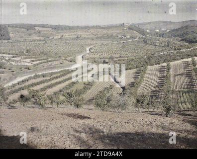 Monteriggioni, Italien Landschaft rund um Monteriggioni, Natur, Umwelt, Wirtschaft, Landschaft, Landwirtschaft, Viehzucht, Rebe, Olivenbaum, Italien, Monteriggioni, Ansicht von Monteriggioni: Arten von schönen Kulturen ausgerichtet: Sträucher und Olivenbäume, Monteriggioni, 23/09/1913 - 23/09/1913, Léon, Auguste, Fotograf, 1913 - Balkan, Italien - Léon Busy und Auguste Léon - (September bis 23. Oktober), Autochrome, Foto, Glas, Autochrome, Foto, positiv, Horizontal, Format 9 x 12 cm Stockfoto