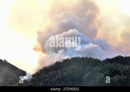 Ein Haus brannte bei einem Waldbrand in Südkorea Anfang 2022 ab Stockfoto