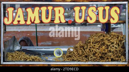 Jamur usus ist ein typischer indonesischer Snack. Der Wagen des mobilen Händlers mit typisch indonesischem Street Food. Stockfoto