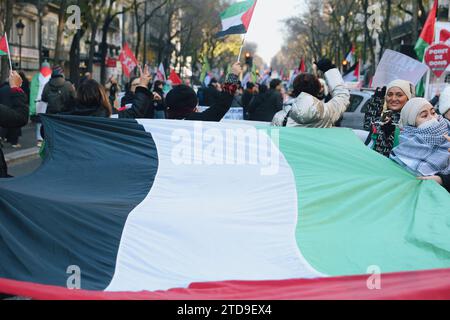 Paris, Frankreich. Dezember 2023. Demonstration zur Unterstützung des palästinensischen Volkes am 17. Dezember 2023 in Paris. Foto: Christophe Michel/ABACAPRESS.COM Credit: Abaca Press/Alamy Live News Stockfoto