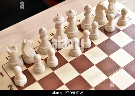 Schöne Schachfiguren auf dem Brett. Das Schachbrett. Schachwettbewerbe. Stockfoto