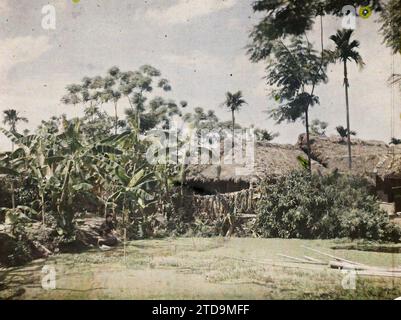 Umgebung von Hà-nôi, Hainoi Vietnam, Tonkin, Indochina Häuser, umgeben von Bananenbäumen und einem Teich bedeckt mit Wasserbindweed in einem Dorf, Wohngebäude, Architektur, Gewässer, ländliche Architektur, Wohnraum, ohne Bildunterschrift, Hà-nôi, Hainoi Vietnam [région], 01/01/1921 - 31/12/1921, Busy, Léon, Léon Busy Photographer en Indochine, Autochrome, Foto, Glas, Autochrome, Foto, positiv, Horizontal Stockfoto