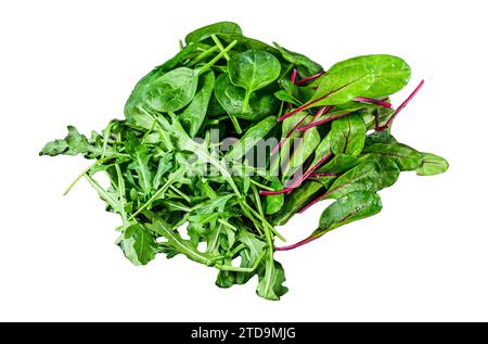 Frisches gemischtes Gemüse, Spinat, Mangold und Rucola. Isoliert auf weißem Hintergrund Stockfoto