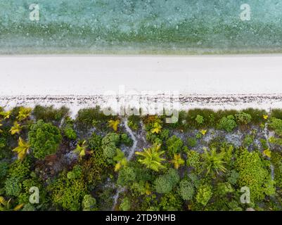 Palmen wachsen an einem leeren, idyllischen Strand auf einer abgelegenen Insel in Indonesien. Die indopazifische Region beherbergt Zehntausende von Inseln. Stockfoto