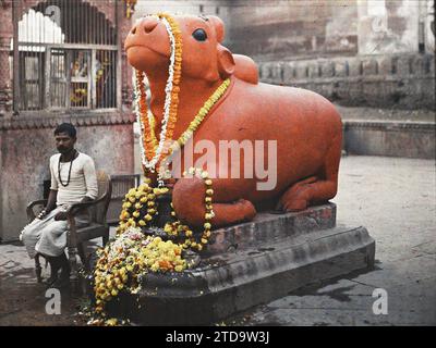 Benares, Indien Kashi Vishwanath (der Goldene Tempel): Statue des heiligen Stiers Nandi (oder Nandin), Berg von Shiva, dekoriert mit Girlanden von indischen Nelken, Tier, Religion, HD, Kunst, Menschen, Statue, Heiliges Tier, Tempel, repräsentiertes Tier, fantastisches Tier, Hinduismus, religiöse Praxis, Opfergabe, existiert in hoher Auflösung, Skulptur, Objekt der Anbetung, Blume, Mensch, "Benares Januar 29 - Statue der heiligen Kuh mit Girlanden bedeckt" India, Benares, die Heilige Kuh, Benares, 29/01/1914 - 29/01/1914, Passet, Stéphane, Fotograf, 1913-1914 - Inde, Pakistan - Stéphane Passet - (16. Dezember Stockfoto