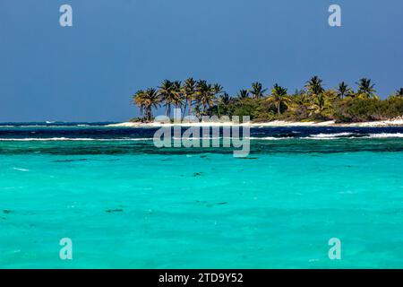 Detaillierter Blick auf die tropische Insel Petit Tabac, das türkisfarbene Karibische Meer mit Hufeisenriff; Tobago Cays Marine Park, St. Vincent und die Grenadinen Stockfoto