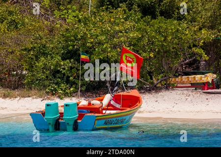 Mr Fabulous – Magic Carpet Water Taxi liegt am Inselstrand von Petit Rameau im Tobago Cays Marine Park, den Grenadinen, der östlichen Karibik. Stockfoto