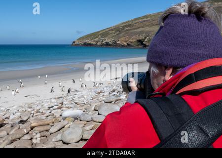 Falklandinseln, West Falklands, Grave Cove. Fotograf, der Fotos von Gentoo-Pinguinen am Strand macht. Das Modell wurde veröffentlicht, Vicki Kuyper. Stockfoto