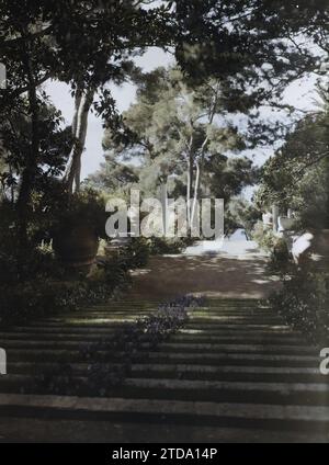 Cap Martin, Frankreich große Treppe mit Blumen im Garten der Villa Cypris mit Blick auf das Meer, Persönlichkeit, Tier, Habitat, Architektur, Natur, Umwelt, Meer, Ozean, Unternehmenspersönlichkeit, repräsentiertes Tier, fantastisches Tier, Kiefer, Treppe, Säule, Vase, Vogel, Blume, Villa, Park, Garten, Vegetation, Botanik, Frankreich, Kapstadt. Martin, Eigentum von Madame Douine - von oben gezogene Treppe mit Blumen, Roquebrune-Cap-Martin, 10.04/1927 - 12.04.1927, Léon, Auguste, Fotograf, 1927 - Cap Martin - Auguste Léon - (März-April), Autochrome, Foto, Glas, Autochrome, Foto, positiv, Vertica Stockfoto