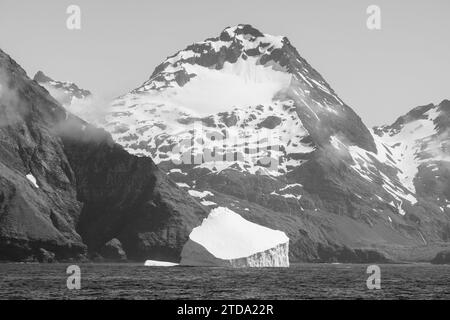 Südgeorgien, Grytviken. Blick auf die Küste der großen Eisberge in der Nähe des Hafens von Grytviken. Stockfoto