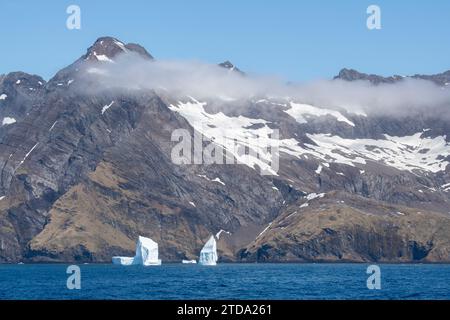 Südgeorgien, Grytviken. Blick auf die Küste der großen Eisberge in der Nähe des Hafens von Grytviken. Stockfoto