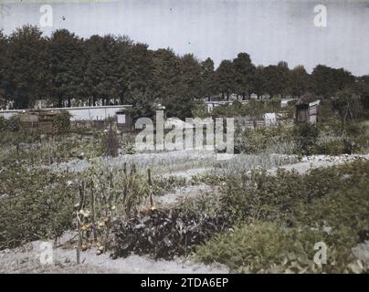 Paris (17. Arrondissement), Frankreich die Kleingärten an der Stelle der alten Befestigungsanlagen Porte de Clichy und der Batignolles-Friedhof, Habitat, Architektur, Natur, Umwelt, Friedhof, Hütte, Befestigungsanlagen, Park, Garten, Kleingarten, Vegetation, Botanik, Gemüsegarten, Frankreich, Paris, Blick auf den Batignolles-Friedhof, Arrondissement XVII, Befestigungsanlagen, Petite ceinture, la Zone, 21.08/1929 - 21.08.1929, Léon, Auguste, Fotograf, Autochrome, Foto, Glas, Autochrome, Foto, positiv, horizontal, Größe 9 x 12 cm Stockfoto