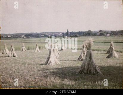 Poissy, Frankreich, Natur, Umwelt, Wirtschaftstätigkeit, Landschaft, Landwirtschaft, Viehzucht, Heu, Feld, Ile de France, Poissy, Roggen geerntet, Poissy, 29.05/1930 - 29.05.1930, Passet, Stéphane, Fotograf, 1930 - Ile-de-France - Stéphane Passet - (28. Juni-8. Juli), Autochrome, Foto, Glas, Autochrome, Foto, positiv Stockfoto