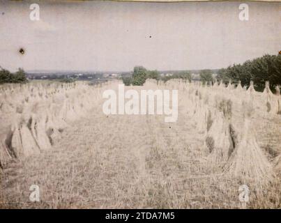 Poissy, Frankreich, Natur, Umwelt, Wirtschaftstätigkeit, Landschaft, Landwirtschaft, Viehzucht, Heu, Feld, Ile de France, Poissy, Roggen geerntet, Poissy, 29.05/1930 - 29.05.1930, Passet, Stéphane, Fotograf, 1930 - Ile-de-France - Stéphane Passet - (28. Juni-8. Juli), Autochrome, Foto, Glas, Autochrome, Foto, positiv Stockfoto