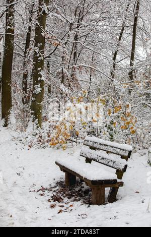 Fesselnde Winterszene: Schneebedeckte Waldbank Inmitten Von Blizzard Stockfoto