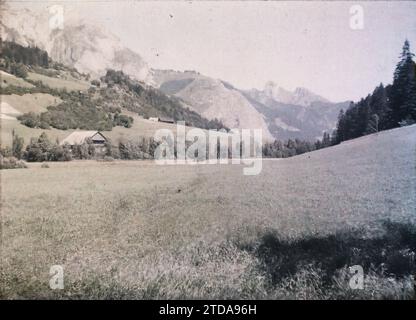 Abondance, Haute-Savoie, Frankreich, Natur, Umwelt, Landschaft, Berg, Berg, Tal, Blumenwiese, France, hte Savoie, Vallée d'Abondance, Abondance, 20.08/1930 - 20.08.1930, Passet, Stéphane, Fotograf, 1930 - Haute-Savoie - Stéphane Passet - (10. August bis 22. August), Autochrome, Foto, Glas, Autochrome, Foto, positiv Stockfoto