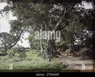 Dorf Dinh-công, Provinz Hà-dông, Indochina kleine Strohhütten für den Markt, im Schatten großer Bäume, Natur, Umwelt, Wirtschaft, HD, Habitat, Architektur, Landschaft, Markt, Messe, existiert in High Definition, ländlicher Architektur, Vegetation, Botanik, Indochina, Tonkin, Umgebung von Hanoi, Eine Ecke des so genannten Dinh-Cõng-Marktes (rund 6 km südlich von Hanoi), Dinh-Cong, 01/07/1915 - 31/08/1915, geschäftig, Léon, Léon beschäftigte Fotografin en Indochine, Autochrome, Foto, Glas, Autochrome, Foto, positiv, Horizontal, Format 9 x 12 cm Stockfoto