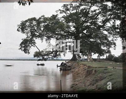 Viet-Tri, Provinz Phu-tho, Tonkin, Indochina der große Banyan-Baum (Ficus Indica), in der Nähe des Zusammenflusses von Red River und Claire River, HD, Verkehr, Natur, Umwelt, Habitat, Architektur, Fluss, Tempel, existiert in High Definition, Fluss, Boot, Altar, bemerkenswerter Baum, Flussverkehr, See, Vegetation, Botanik, religiöse Architektur, Indochina, Tonkin, Landschaften - von Hanoi, dem großen Banyanbaum von Viëtri, Fleuve rouge, Vietnam, 01/07/1915 - 31/08/1915, beschäftigt, Léon, Léon beschäftigt Fotograf en en Indochine, Autochrome, Foto, Glas, Autochrome, Foto, positiv, Horizontal, Format 9 x 1 Stockfoto