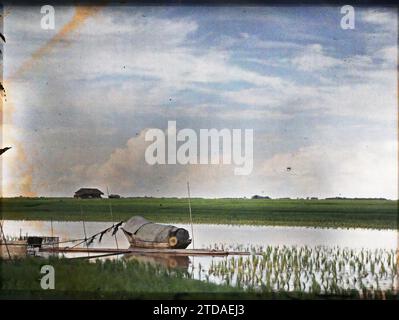 Hà-nôi, Hainoi Vietnam, Tonkin, Indochina Reisfelder und ein Sampan am Ufer des Roten Flusses, Natur, Umwelt, Wirtschaft, Verkehr, Landschaft, Reisfeld, Landwirtschaft, Viehzucht, Fluss, Boot-, Fluss- und Seetransport, Indochina, Tonkin, Hanoi, die Kais des Roten Flusses, der Rand des Roten Flusses bei stürmischem Wetter, verpflanzten Reis., Fleuve rouge, Quartier Sino-annamit, 01/09/1915 - 30/11/1915, Busy, Léon, Léon Busy Photographer en Indochine, Autochrome, Foto, Glas, Autochrome, Foto, positiv, Horizontal, Format 9 x 12 cm Stockfoto