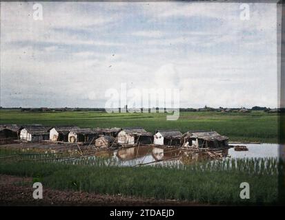Hà-nôi, Hainoi Vietnam, Tonkin, Indochina schwimmende Häuser in den Reisfeldern am Ufer des Roten Flusses, Wirtschaftstätigkeit, Wohnraum, Architektur, Reisfeld, Landwirtschaft, Viehzucht, Fluss, Wohnungen, schwimmendes Haus, Indochina, Tonkin, Hanoi, die Kais des Flusses Red, schwimmende Häuser, Fleuve rouge, Quartier Sino-annamite, 01/09/1915 - 30/11/1915, Busy, Léon, Léon Busy Photographer en Indochine, Autochrome, Foto, Glas, Autochrome, Foto, positiv, Horizontal, Format 9 x 12 cm Stockfoto